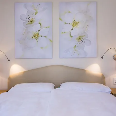 Hotel Delta House Ascona
